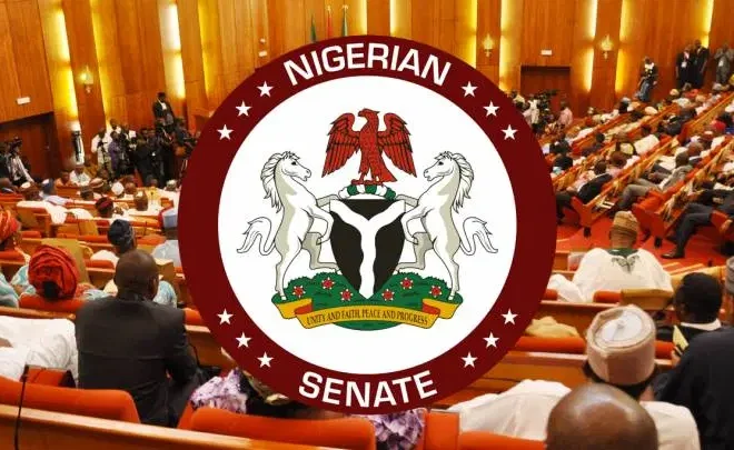 Electoral Act: Senate passes bill, rejects mandatory electronic transmission of results